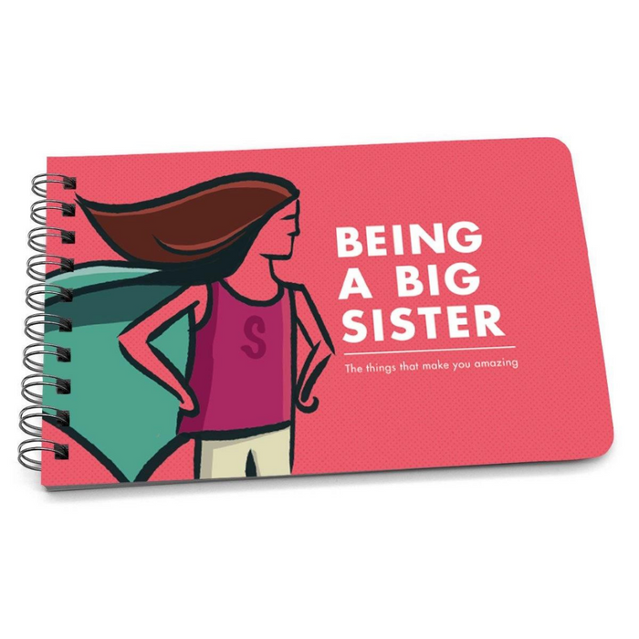 Papersalt How to be a Big Sibling Book