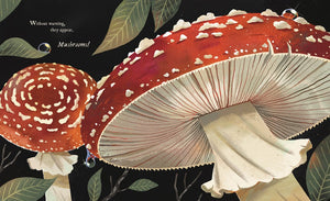 Mushroom Rain Storybook