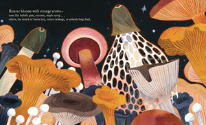 Mushroom Rain Storybook