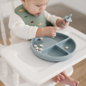 Lil North Co Silicone Suction Divider Plate